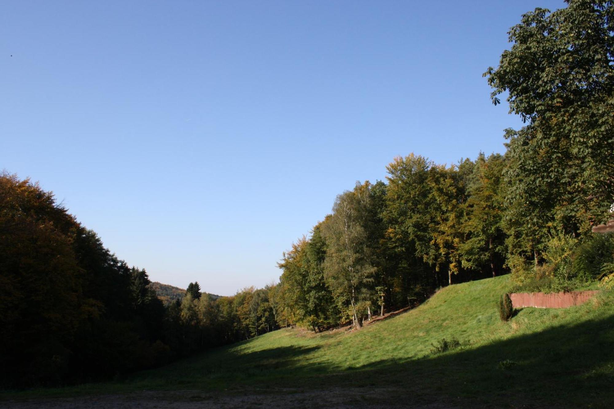 Wald-Hotel Heppe Dammbach Esterno foto